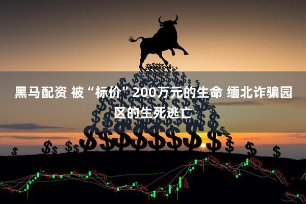 黑马配资 被“标价”200万元的生命 缅北诈骗园区的生死逃亡