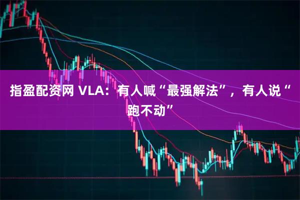 指盈配资网 VLA：有人喊“最强解法”，有人说“跑不动”
