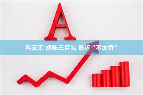科云汇 卤味三巨头 最近“不太香”