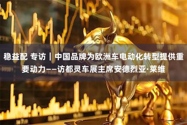 稳益配 专访｜中国品牌为欧洲车电动化转型提供重要动力——访都灵车展主席安德烈亚·莱维