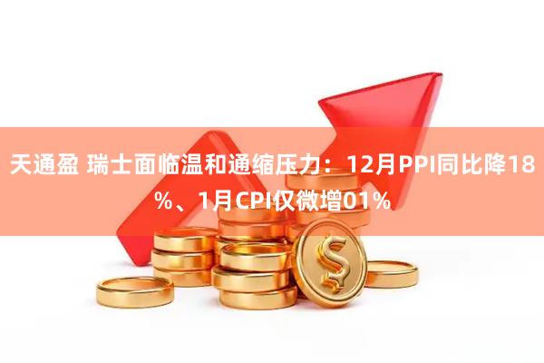 天通盈 瑞士面临温和通缩压力：12月PPI同比降18%、1月CPI仅微增01%
