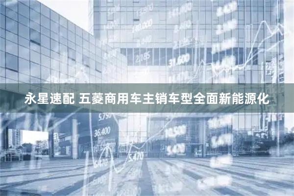 永星速配 五菱商用车主销车型全面新能源化