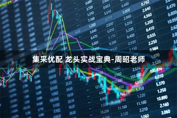集采优配 龙头实战宝典-周昭老师