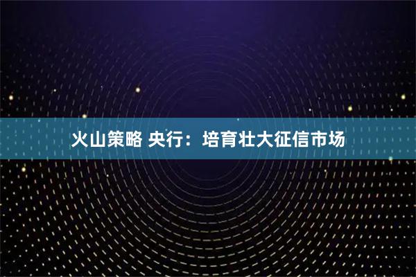 火山策略 央行：培育壮大征信市场